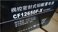 三瑞蓄电池CP12650F