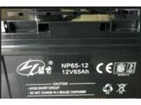 蓝肯蓄电池NP12-65铅酸免维护蓄电池