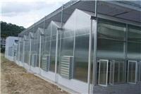 pc板温室大棚设计特点 阳光板智能温室大棚用途 建设厂家