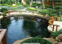 桐乡景观鱼池循环水设备丨鱼池过滤器丨园林景观工程公司