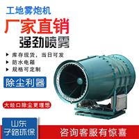 高塔式风送式雾炮机ZL150型 水平射程在150米 价格优惠