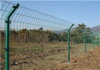供应路边隔离防护围栏网绿色铁丝网