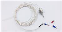 WZP-Pt1000引线式防腐温度传感器螺纹探头铂热电阻