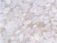 米糠膳食纤维 米糠纤维粉 1公斤起订 长期供应