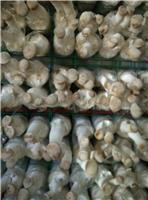出菇房菌类养殖网格 食用菌蘑菇网格架 可移动网格架