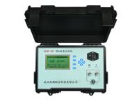 GCSP-501 便捷式SF6纯度分析仪