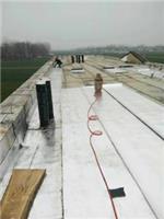 专业楼顶 屋面防水补漏卫生间防水 免费上门排查