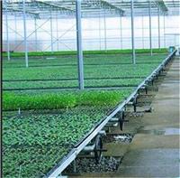 安平华耀草莓立体栽培架A种植槽的优势