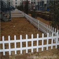 塑钢护栏厂 小区公园 园林围栏价 材质加厚 绿化草坪户外栏杆