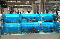 广州厂家定做酒店超市海鲜池工程海鲜池定做亚克力海鲜池