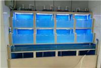 揭阳专业三层玻璃移动海鲜池定做 揭阳专业定做各类酒店海鲜池公司
