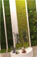 重庆假植物墙定制重庆仿真植物墙制作重庆假草坪批发重庆假苔藓批发