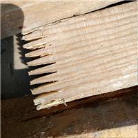 建筑工地木方粘合剂对接工程短木方接长加工拼接胶