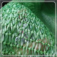 6针优质型遮阳盖土网 绿色防尘网 密恐防尘网厂家