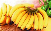 水果批发-香蕉