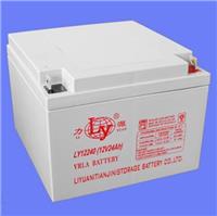 扬州力源蓄电池 电压平稳 安全可靠