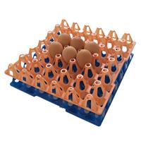 商品蛋蛋托30枚鸡蛋托塑料蛋盘