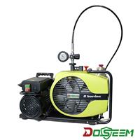 DOSEEM道雄小型呼吸空气压缩机 DS100-W