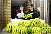 厄瓜多尔香蕉进口报关手续流程