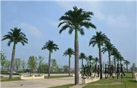 郑州厂家专业设计绿化造景仿真大王椰树人造假树游泳馆专业热带仿真椰子树