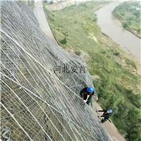 四川省边坡防护网价格_安首边坡防护网专业生产厂家