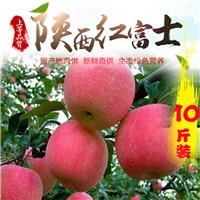 陕西咸阳红富士苹果 全国包邮 红富士苹果 陕西苹果