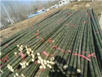 产地大棚杆批发 大棚竹竿，4-11米