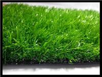 德阳好的环保绿化草坪地毯 自由滑草草坪网批发基地