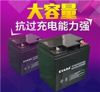 爱维达EVADA蓄电池E-24-N生产厂家