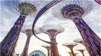 新加坡公司消费税指南