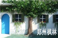 郑州厂家专业定做室内室外大小型仿真古榕树仿真树造景仿真假树