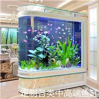 贵州鱼缸开店销售指导