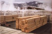 木材干燥设备 大型木材烘干机 热风循环烘箱木材烘干房
