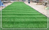 河南便宜的绿色草坪网 塑料人造草坪网价格