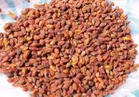 沙棘籽粉 沙棘籽提取物 沙棘籽粕渣 比例提取 1公斤起订