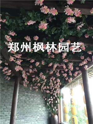 郑州厂家专业制作仿真植物墙商场酒店装饰造景墙房顶装饰墙