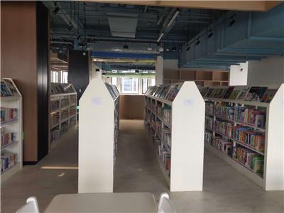 学校展示架，书柜厂家，双柱双面学校图书馆书架