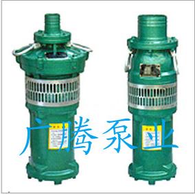 QY高扬程潜水电泵 油浸式潜水电泵 喷泉泵 QY潜水电泵