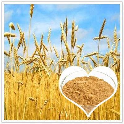 热销小麦低聚肽多种规格1公斤起订