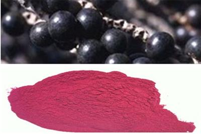 热销巴西莓果粉多种规格1公斤起订