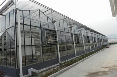PC阳光板温室大棚每平方米造价 阳光板温室大棚搭建