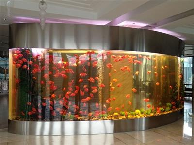 广州设计定制鱼缸、亚克力鱼缸、办公室鱼缸