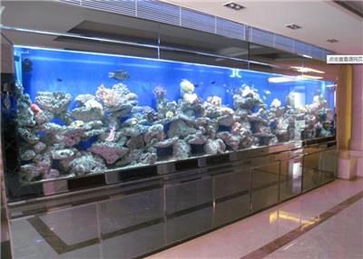 广州鱼缸设计、亚克力鱼缸、玻璃鱼缸