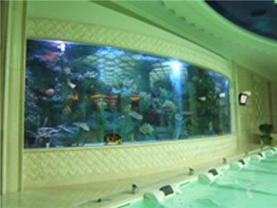 广州订做鱼缸、亚克力鱼缸设计、半圆鱼缸
