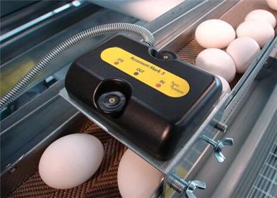 进口鸡蛋计数器，养鸡场用种蛋计数器