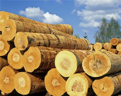 非洲木材进口报关手续