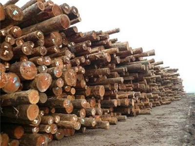 俄罗斯木材进口代理手续
