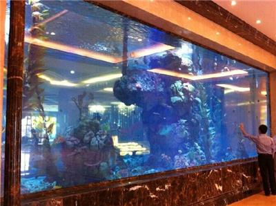 广州大型鱼缸，天河区上门设计鱼缸、天河区亚克力鱼缸定制