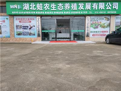 荆州黑鱼的养殖技术