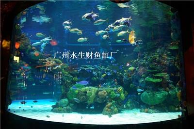 广州鱼缸厂家、荔湾区鱼缸造景、上面定制鱼缸